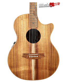 Cole Clark Angel AN2EC-BLBL Blackwood Acoustic Electric Guitar CCAN2ECBLBL