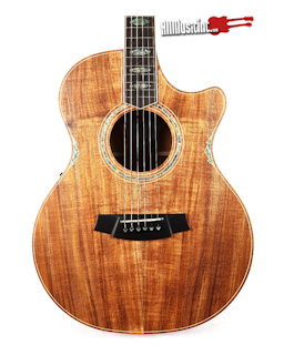 Cole Clark Angel AN3EC-BLBL Blackwood Acoustic Electric Guitar w/OHSC