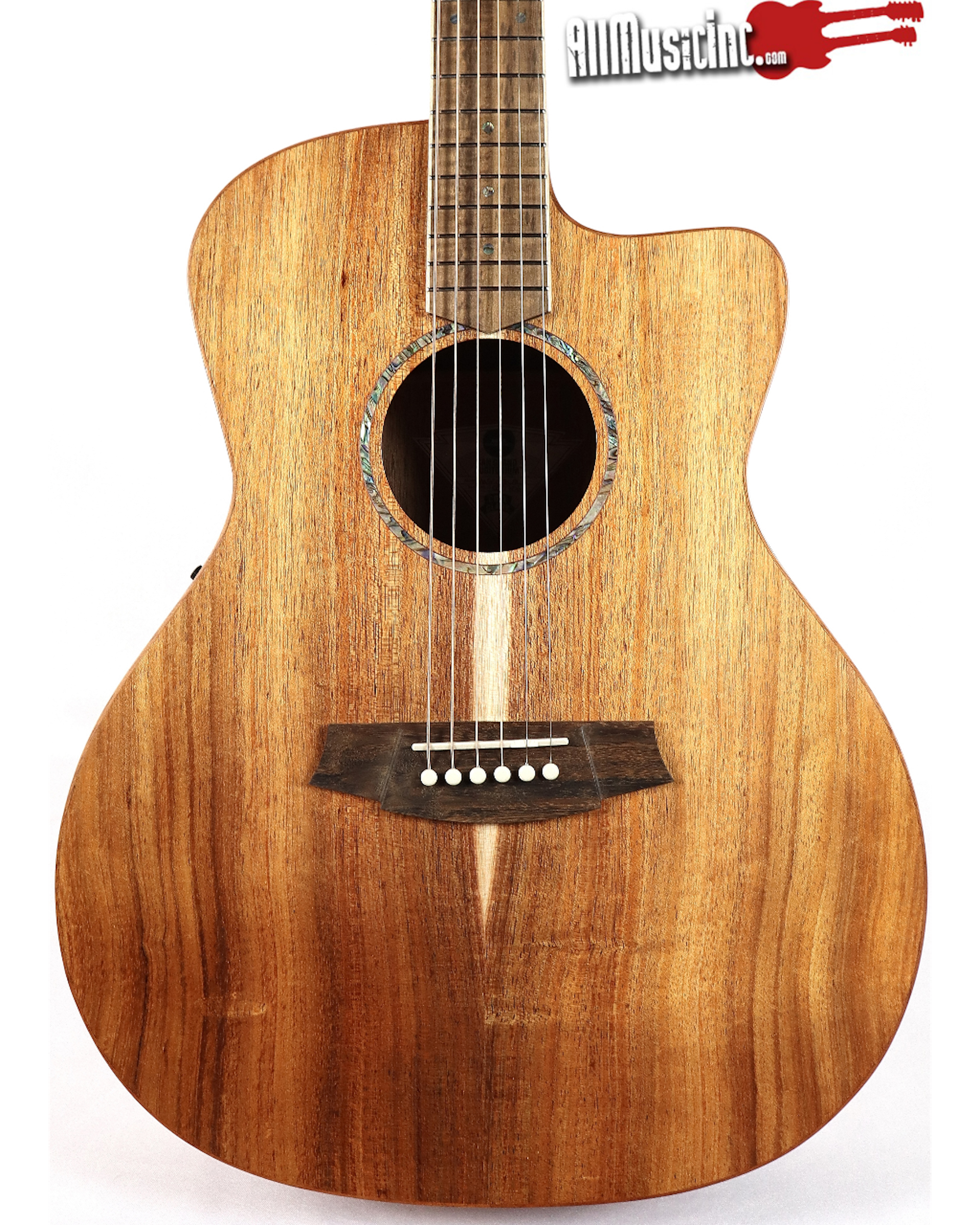 Cole Clark SAN1EC-BLBL Blackwood Acoustic Electric Guitar w/ Gig Bag