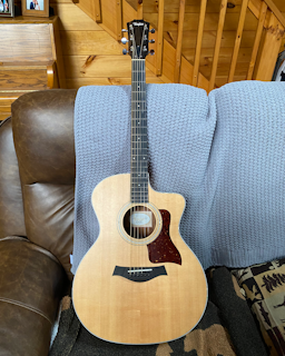 2022 Taylor 214 ce -k