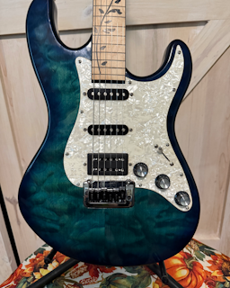 Partscaster Fretless Guitar