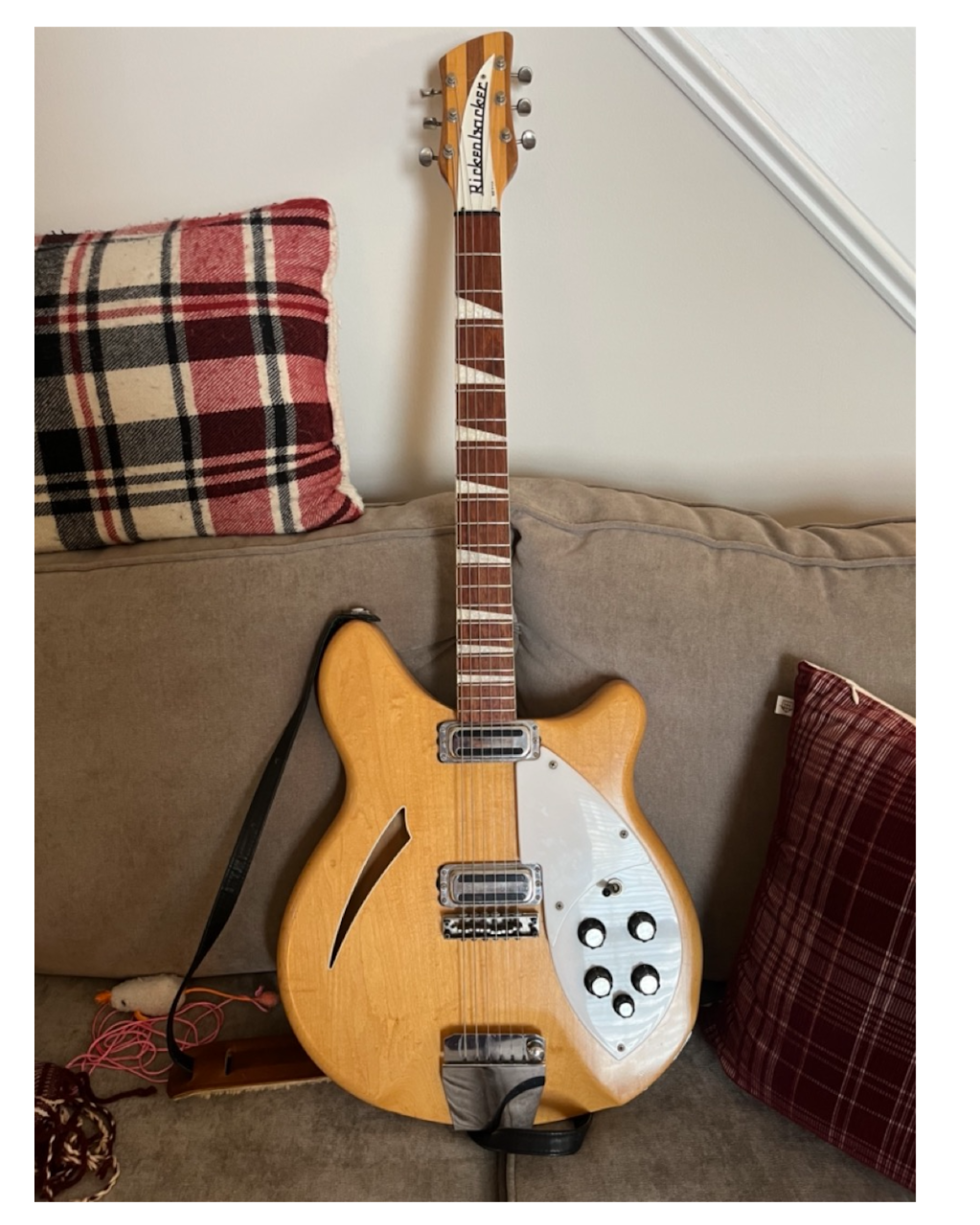 1967 Rickenbacker 365