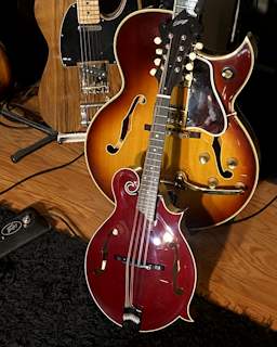 Collings MF Mandolin