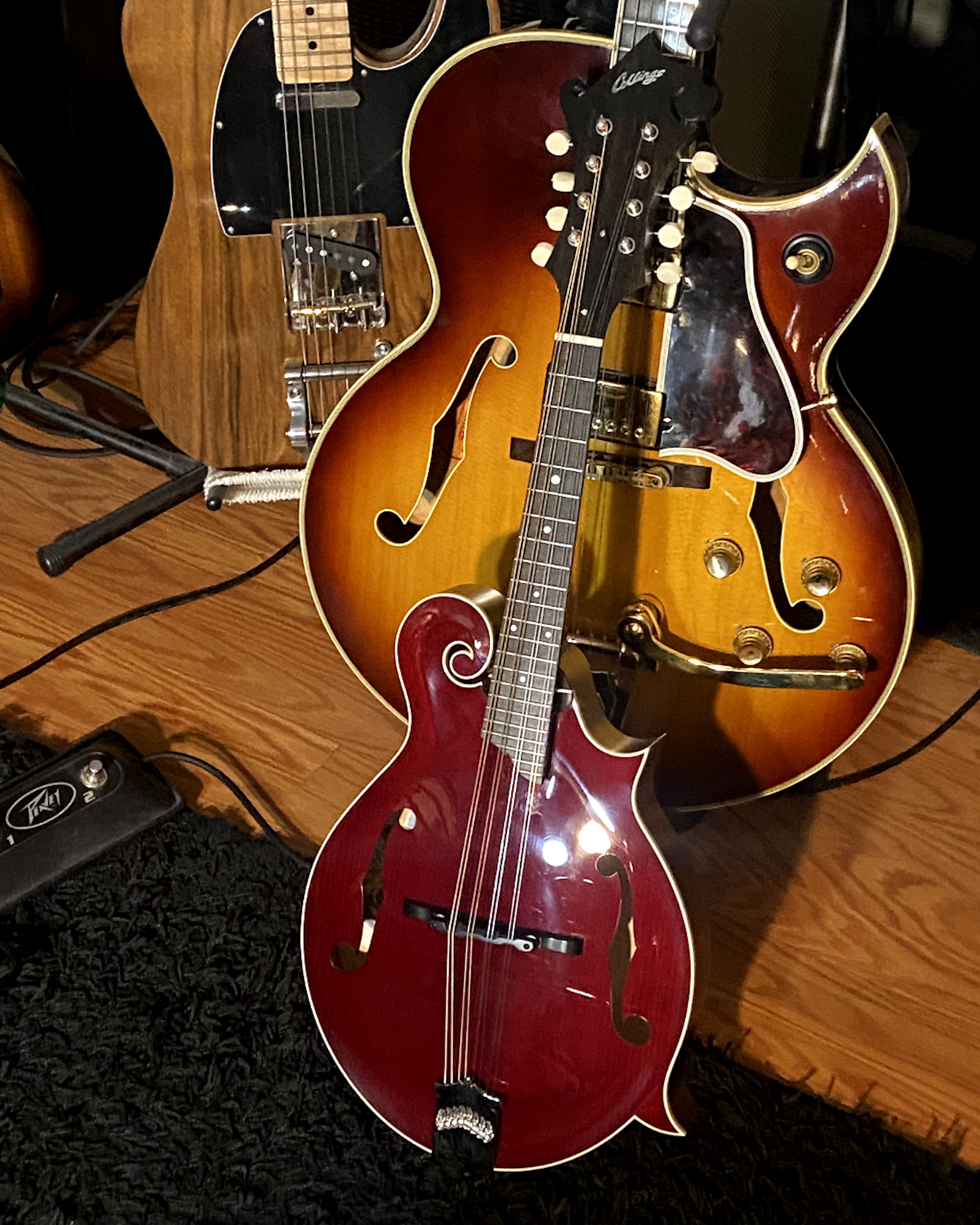 Collings MF Mandolin