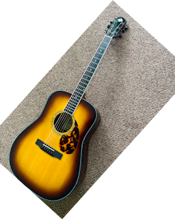 2025 Morgan DR-SB Acoustic Electric