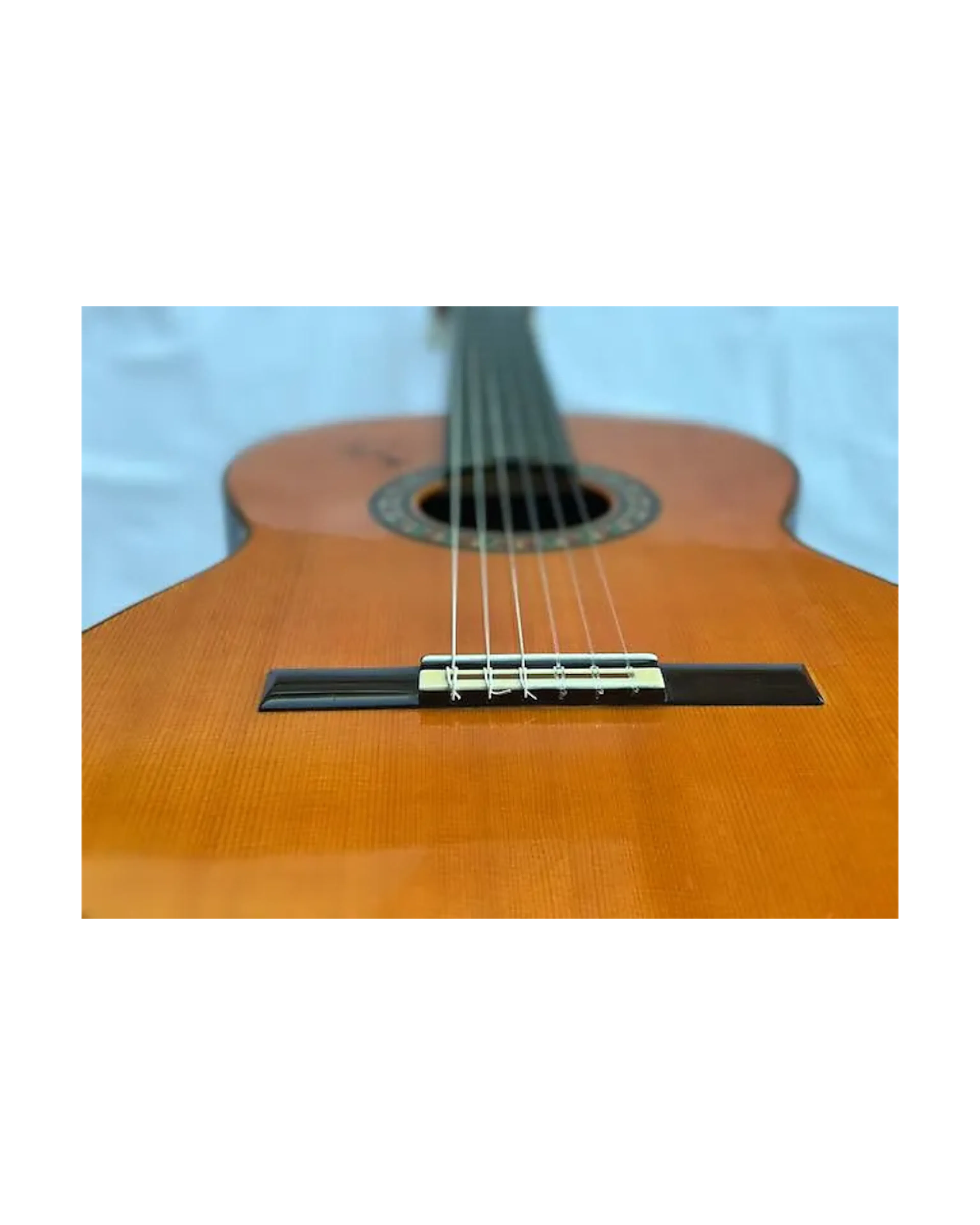 listings/3729/images/78654848-36b8-4aab-a94a-c224ba9680c0.webp