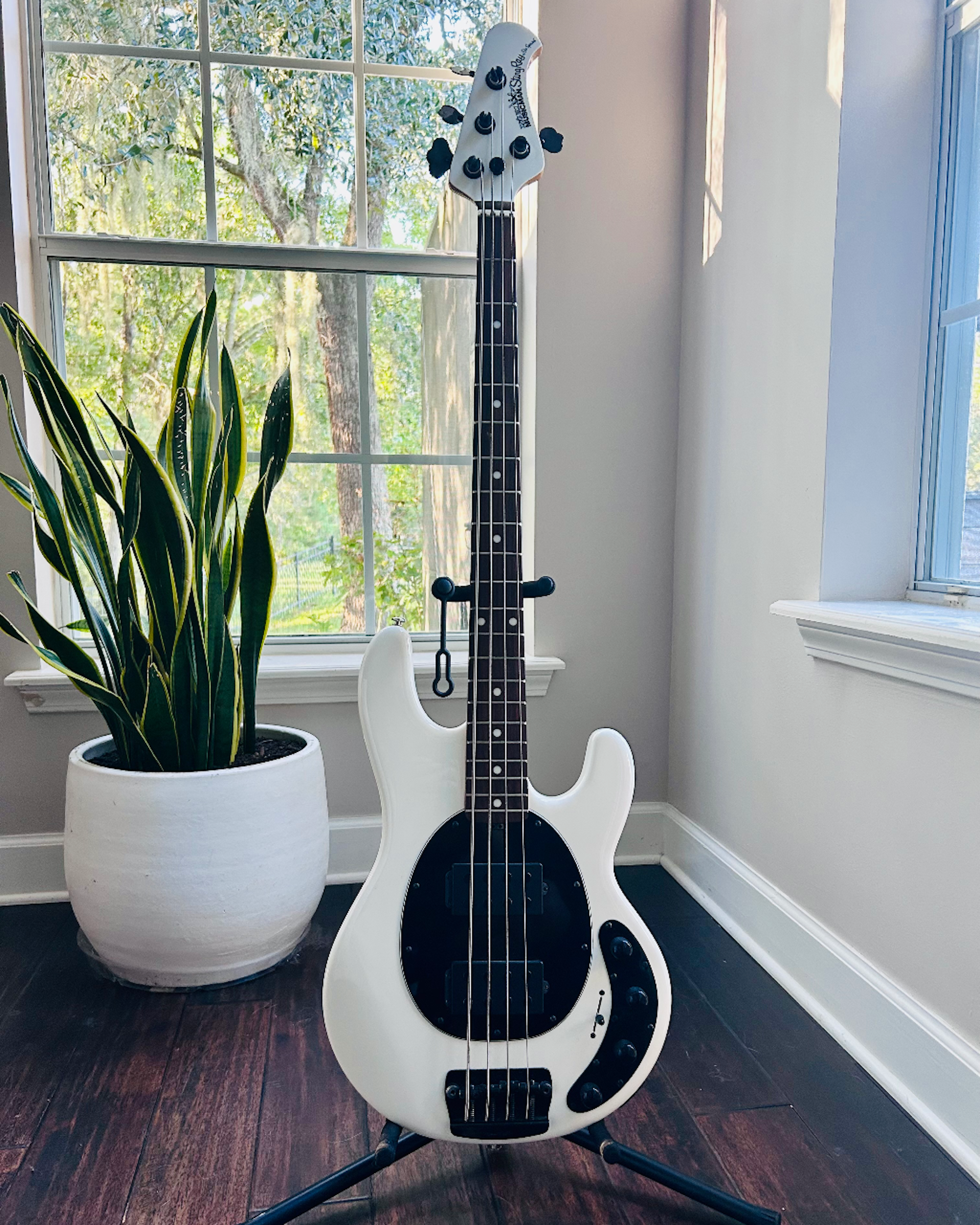 Ernie Ball Music Man Stingray SLO Special 4HH - White Gloss