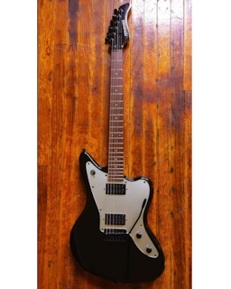 Fernandes jaguar jazzmaster