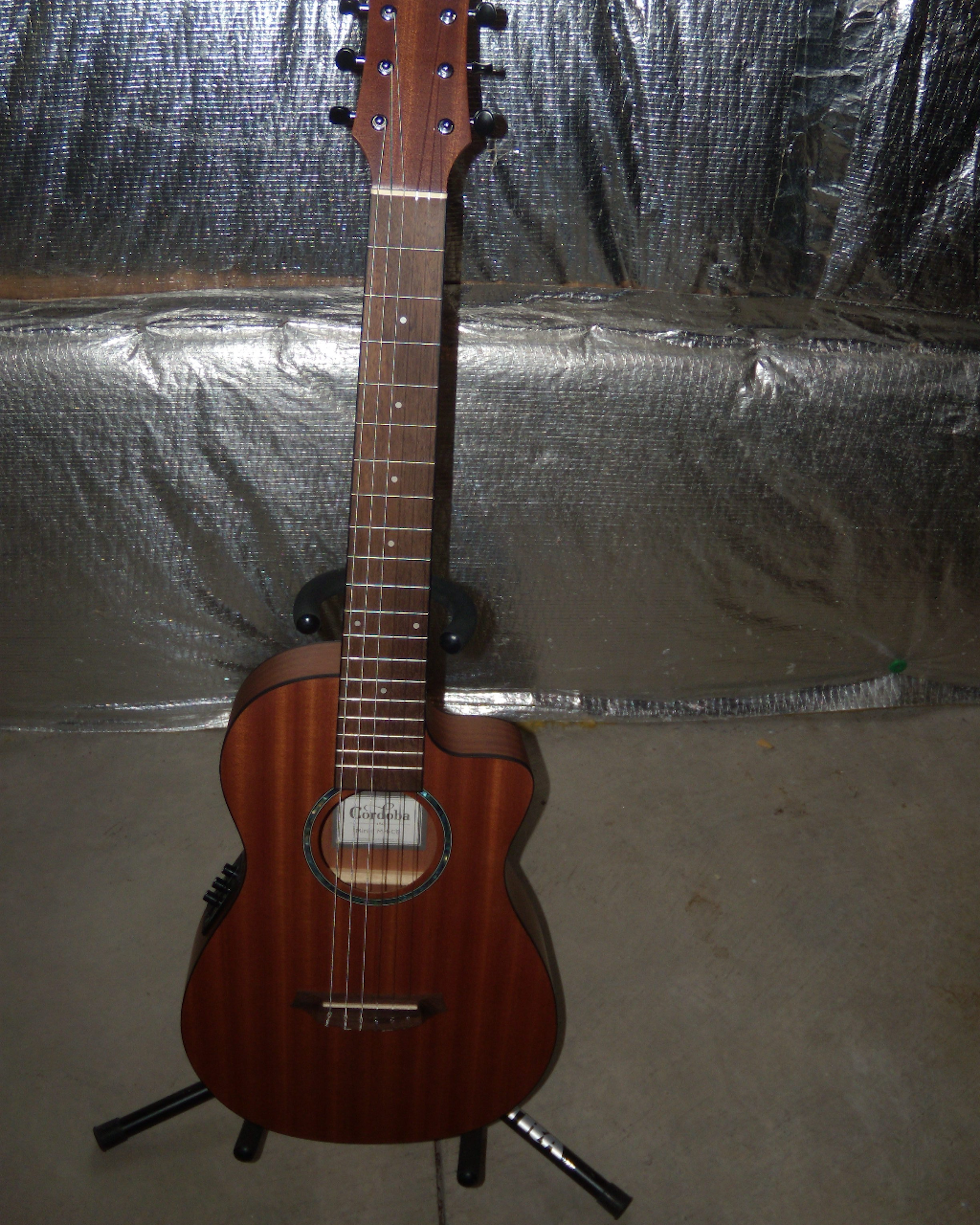 Cordoba Mini II MH CE  with Padded Gig Bag