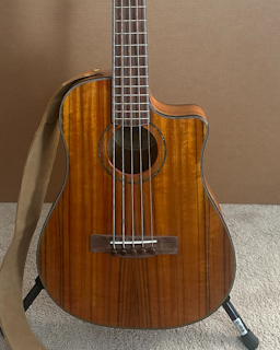 Victor Bailey Acoustic 5