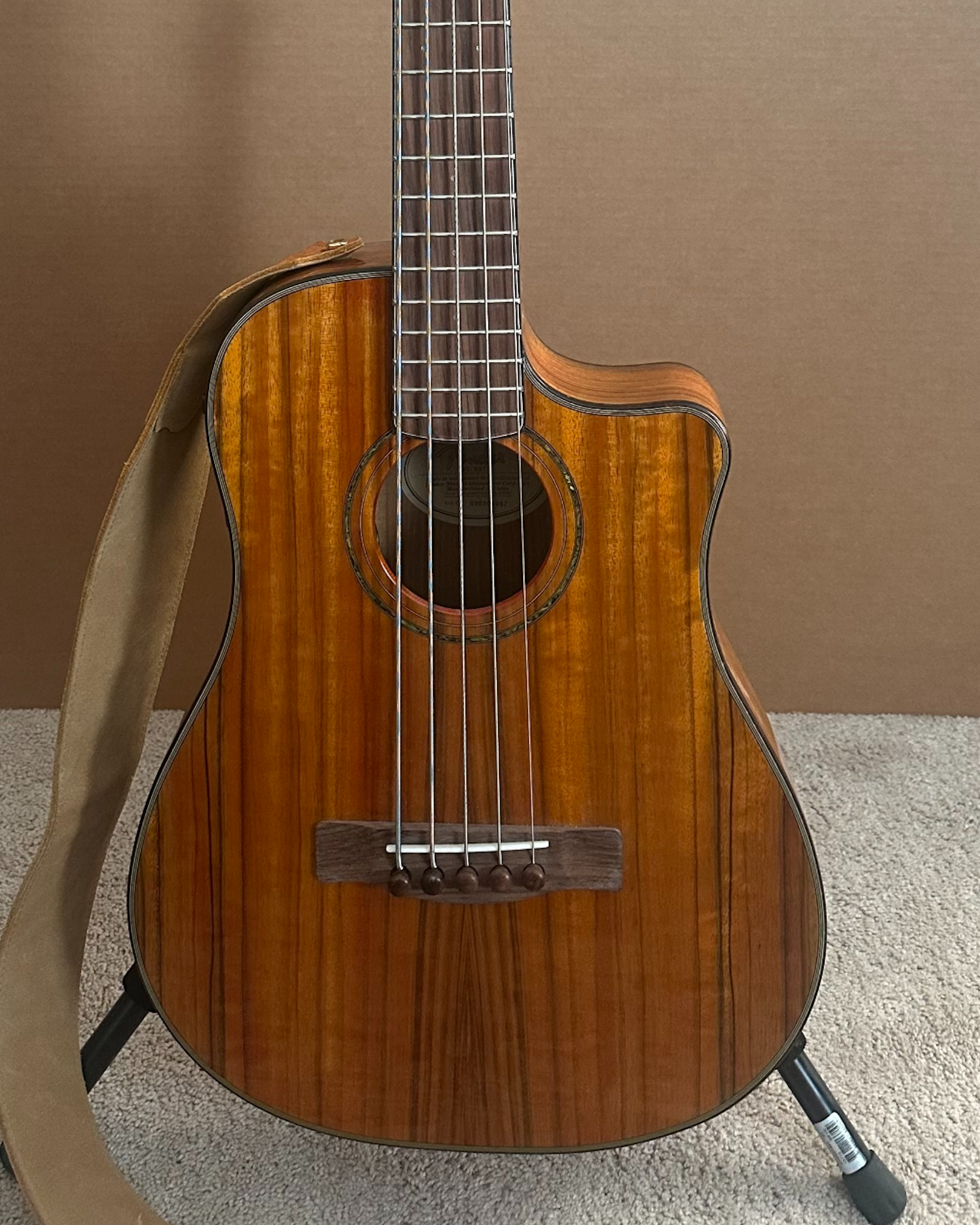 Victor Bailey Acoustic 5