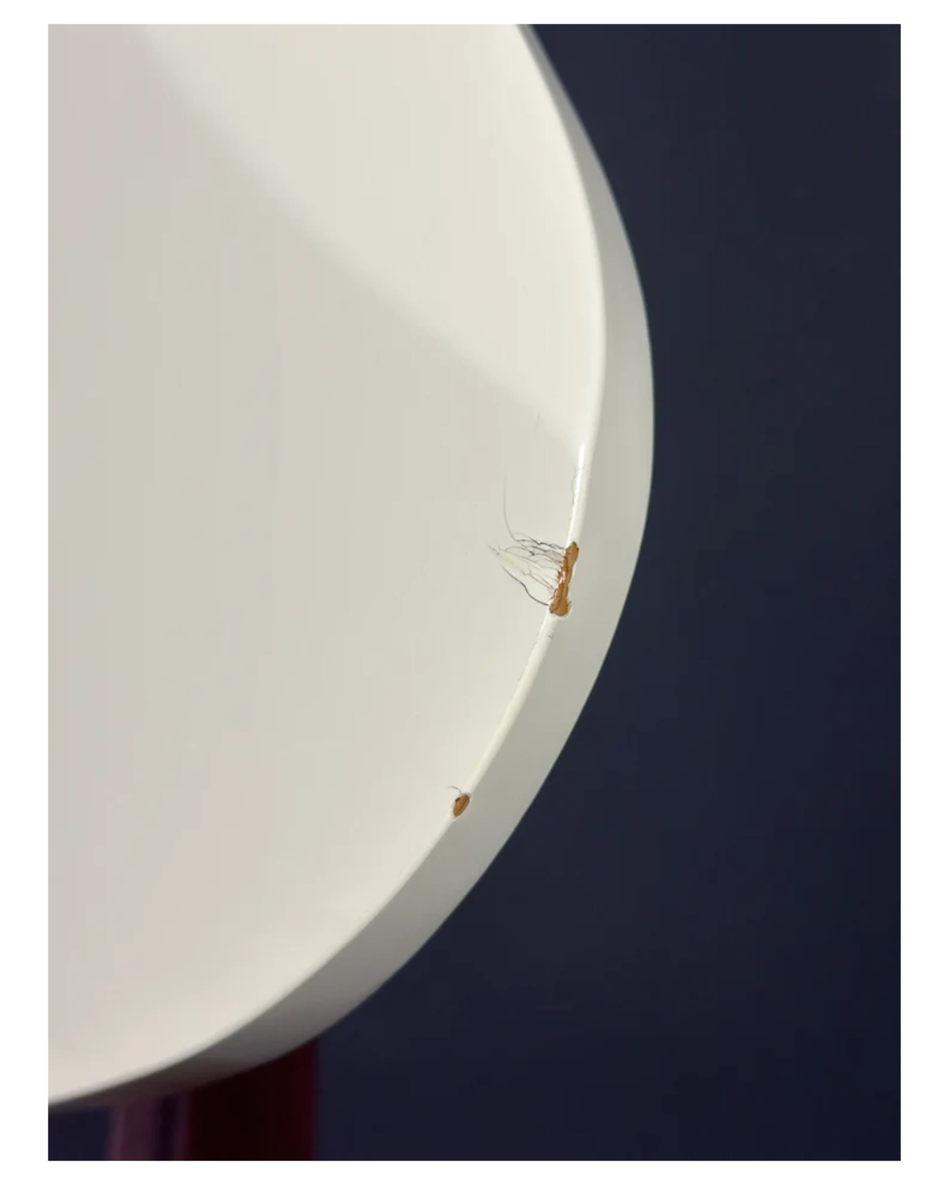 Carousel image 15