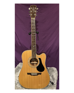 ALVAREZ ACOUSTIC GUITAR WITH CASE