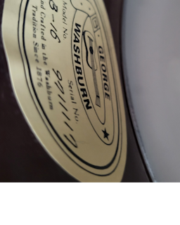 1997 washburn B-16 5 string