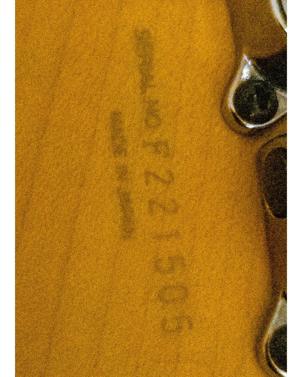 Carousel image 7